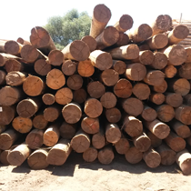 CCA Treated Poles Pretoria